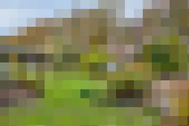 Beneden Veensloot 16 Meeden thumbnail 26