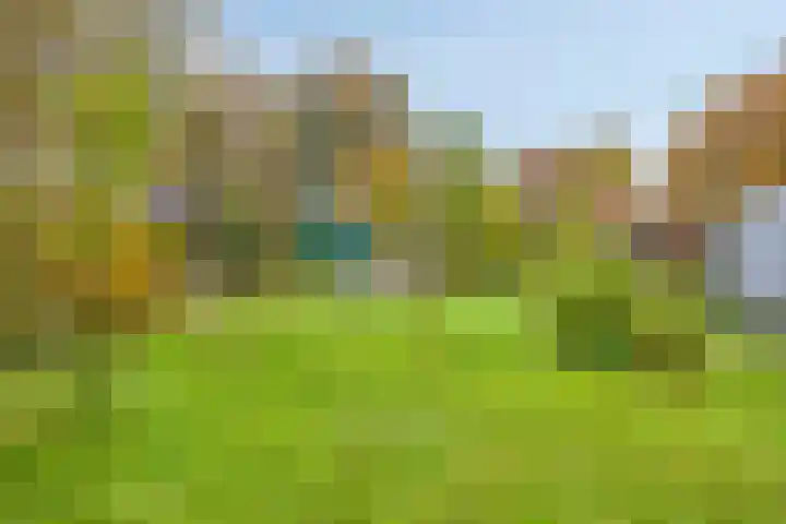 Beneden Veensloot 16 Meeden thumbnail 27