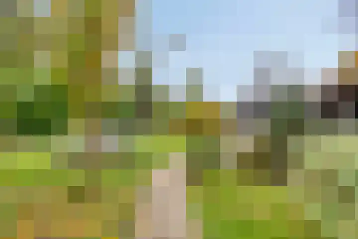 Beneden Veensloot 16 Meeden thumbnail 28