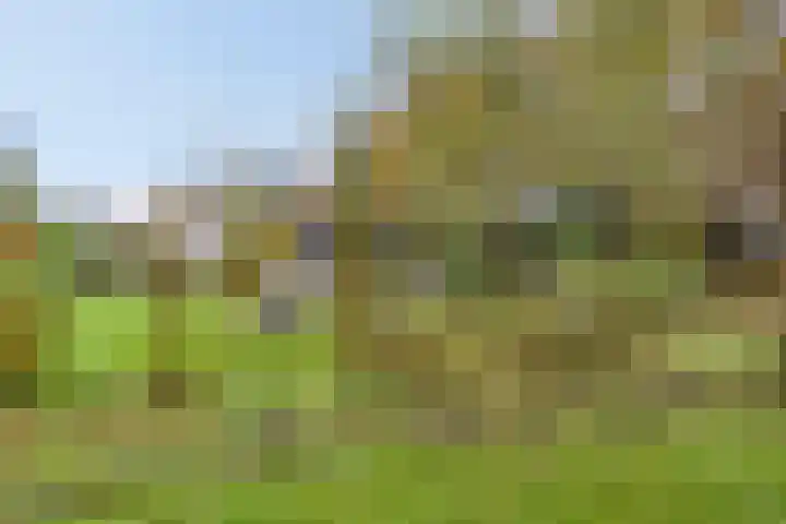 Beneden Veensloot 16 Meeden thumbnail 29