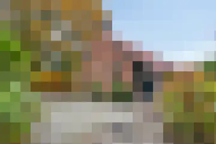 Beneden Veensloot 16 Meeden foto 3