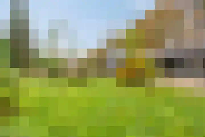 Beneden Veensloot 16 Meeden thumbnail 30