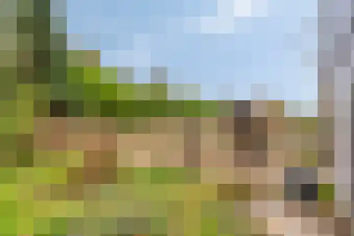 Beneden Veensloot 16 Meeden thumbnail 33