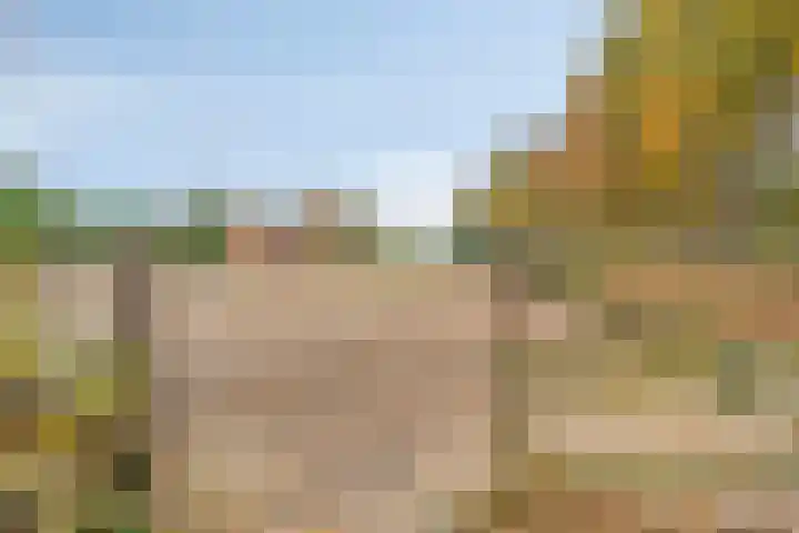Beneden Veensloot 16 Meeden thumbnail 34