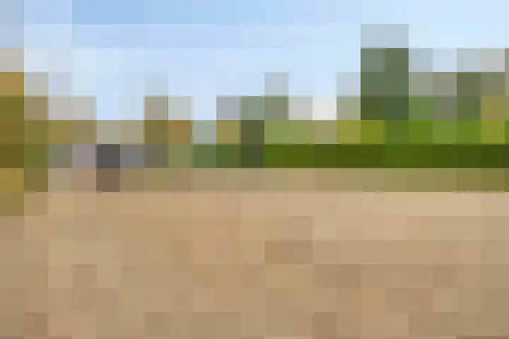 Beneden Veensloot 16 Meeden thumbnail 35