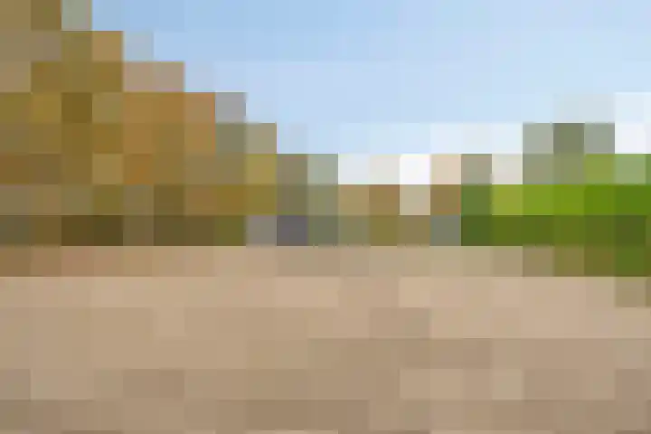 Beneden Veensloot 16 Meeden thumbnail 36