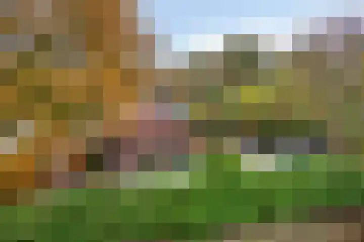 Beneden Veensloot 16 Meeden thumbnail 37