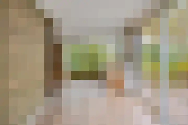 Beneden Veensloot 16 Meeden thumbnail 4