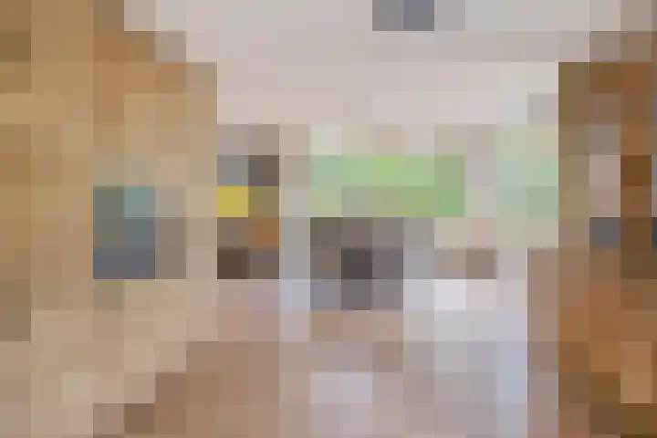 Beneden Veensloot 16 Meeden thumbnail 6