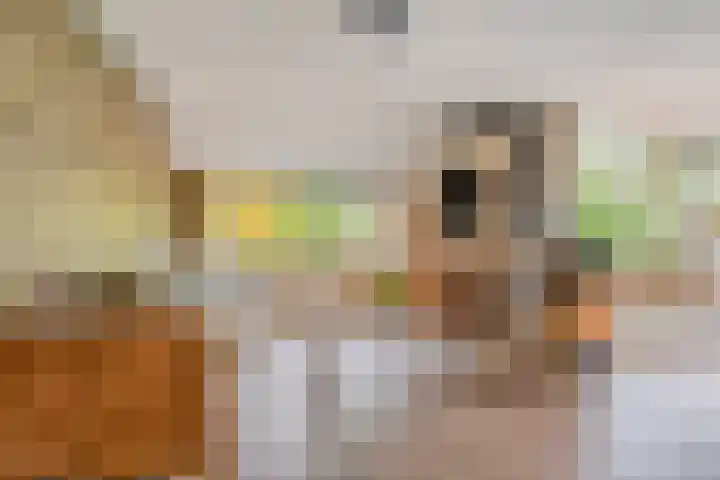 Beneden Veensloot 16 Meeden thumbnail 8