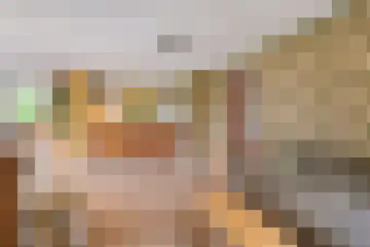 Beneden Veensloot 16 Meeden thumbnail 9