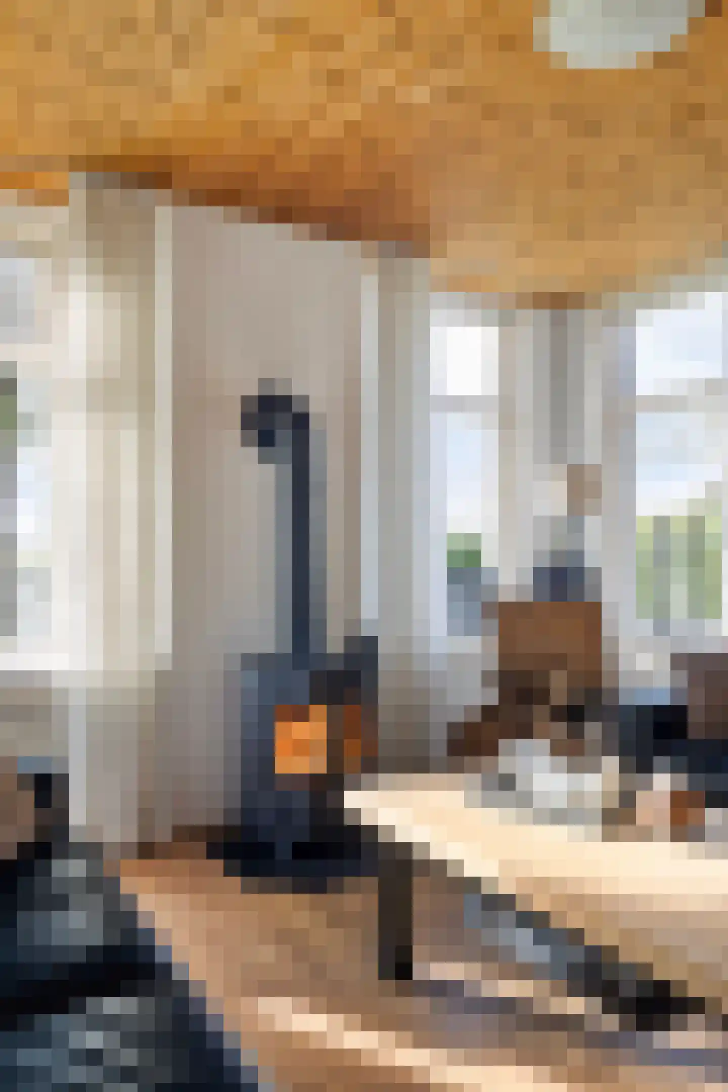 Beneden Veensloot 19 Meeden thumbnail 15