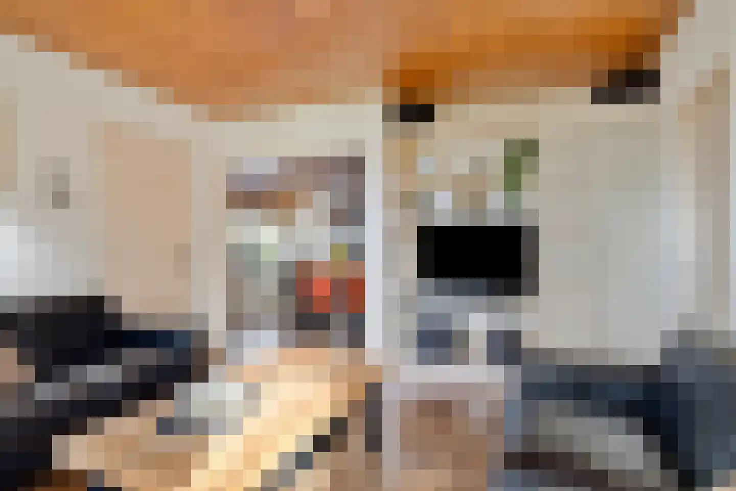 Beneden Veensloot 19 Meeden thumbnail 17
