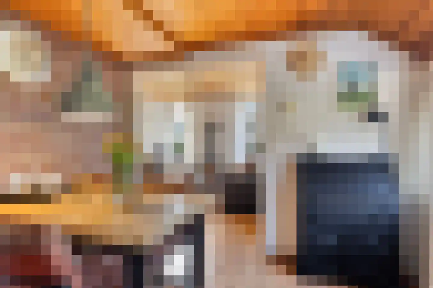 Beneden Veensloot 19 Meeden thumbnail 20