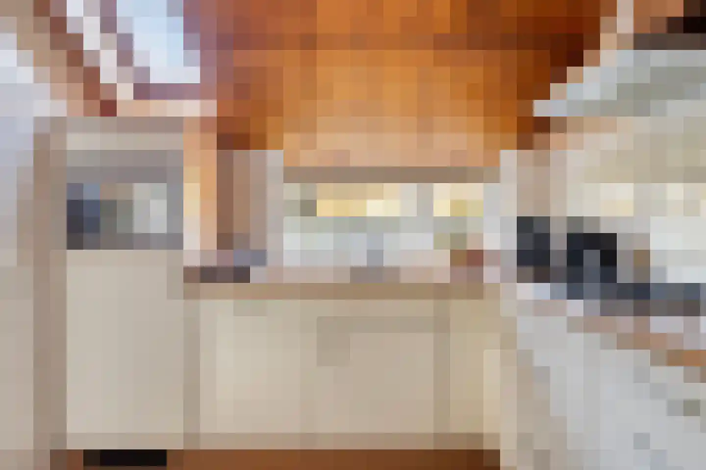Beneden Veensloot 19 Meeden thumbnail 24