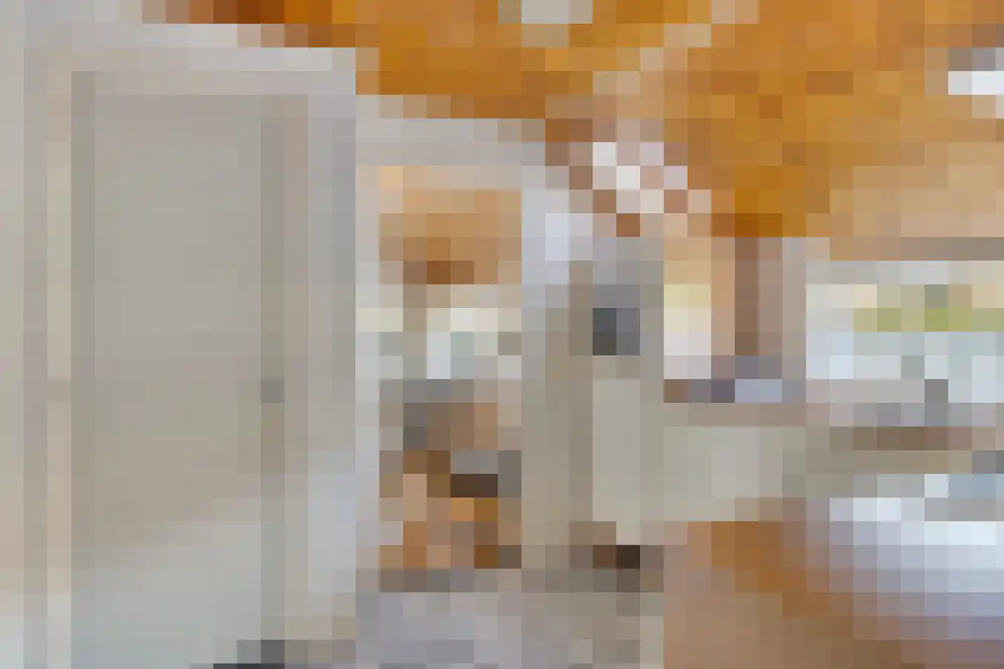 Beneden Veensloot 19 Meeden thumbnail 26