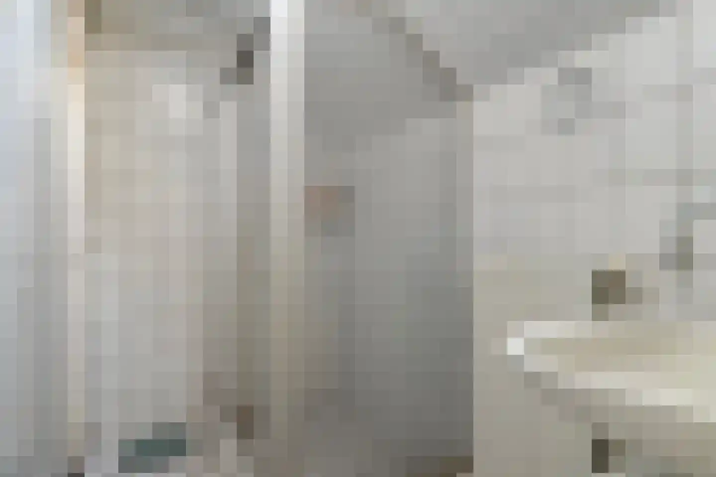 Beneden Veensloot 19 Meeden thumbnail 29