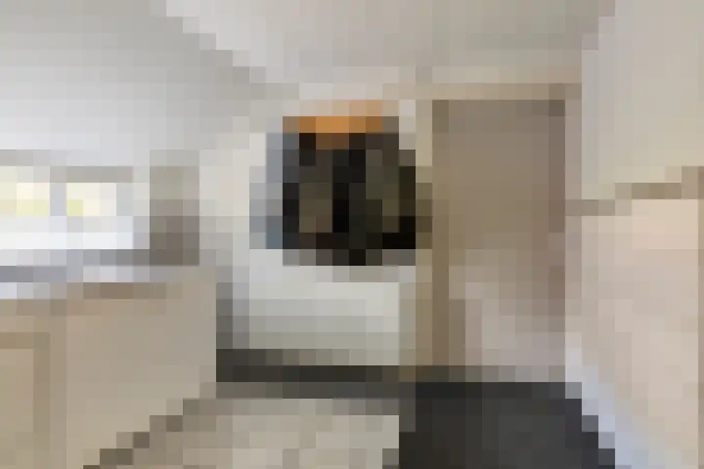 Beneden Veensloot 19 Meeden thumbnail 31