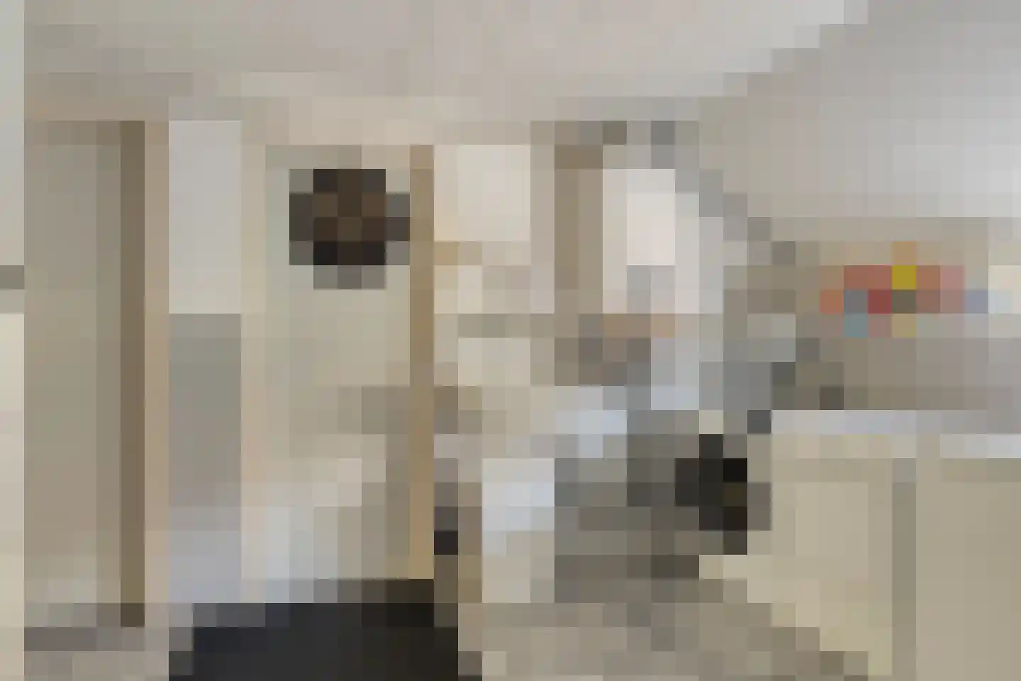 Beneden Veensloot 19 Meeden thumbnail 32