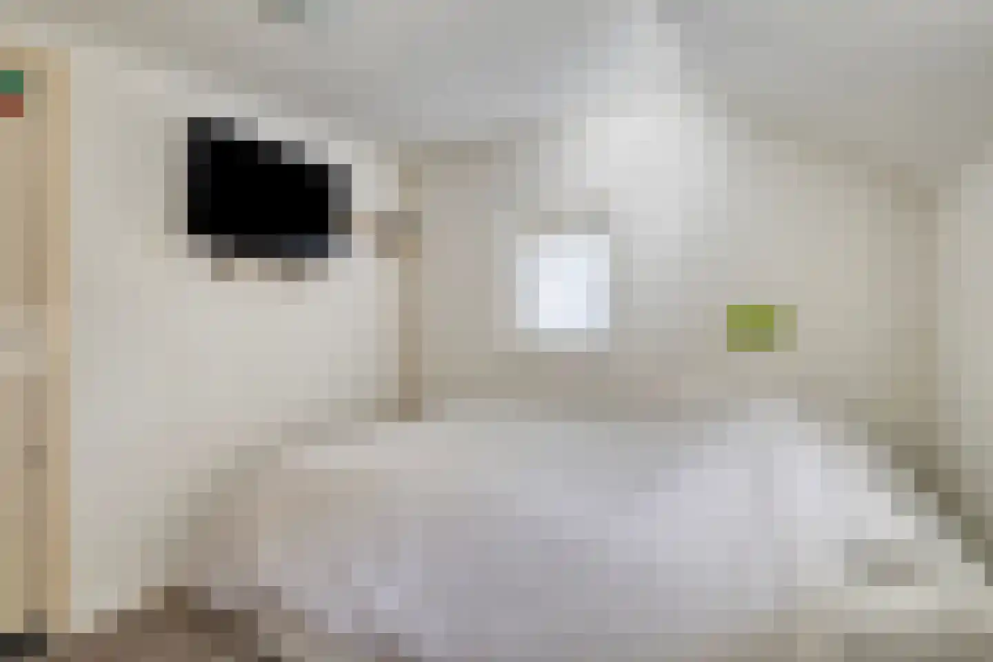 Beneden Veensloot 19 Meeden thumbnail 35