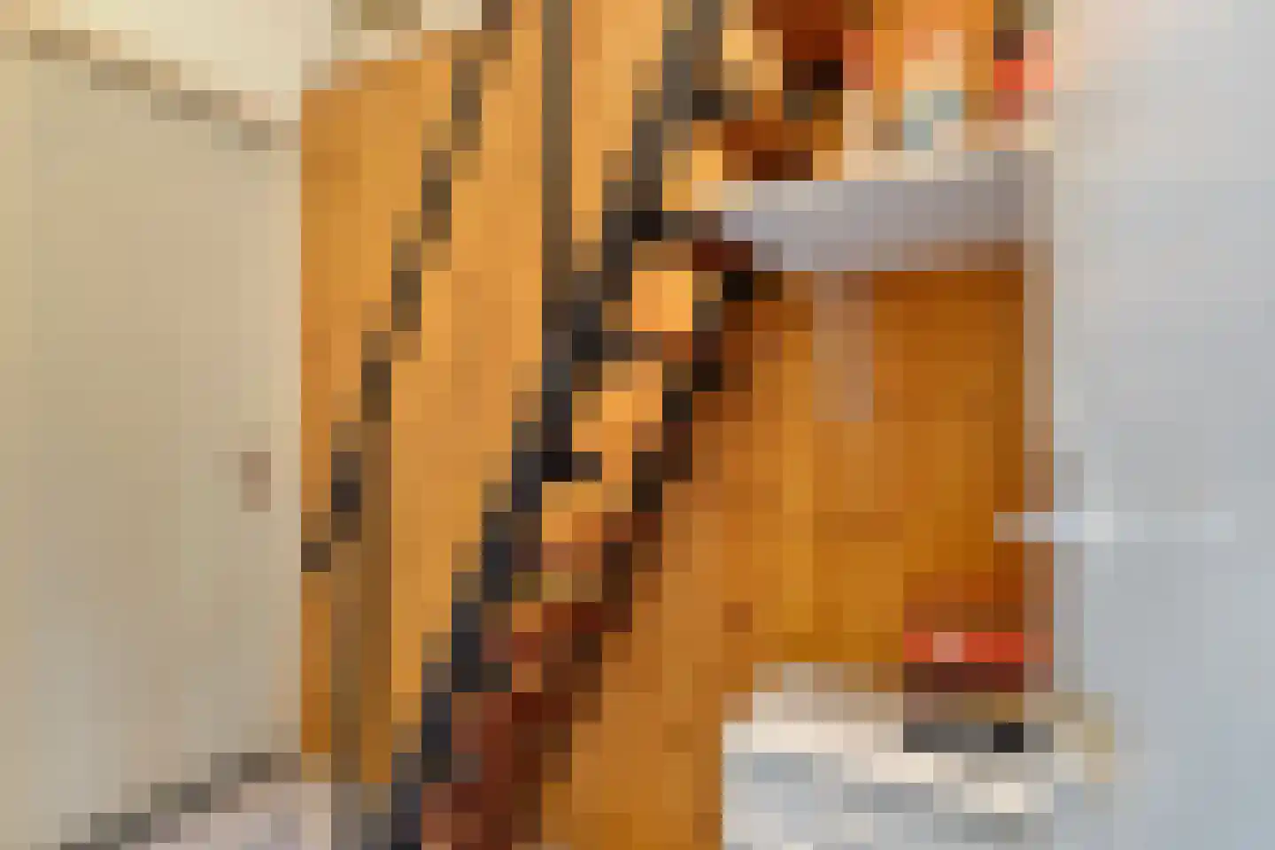 Beneden Veensloot 19 Meeden thumbnail 37