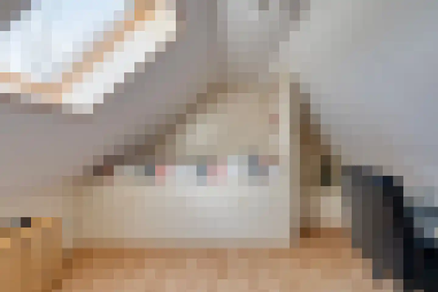 Beneden Veensloot 19 Meeden thumbnail 38