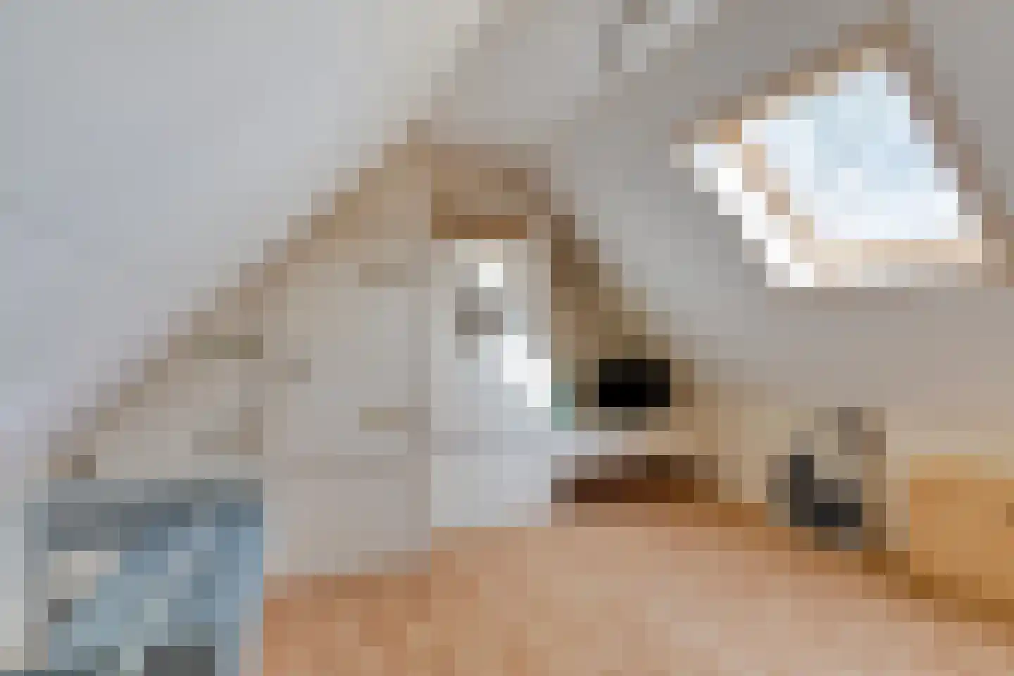 Beneden Veensloot 19 Meeden thumbnail 39
