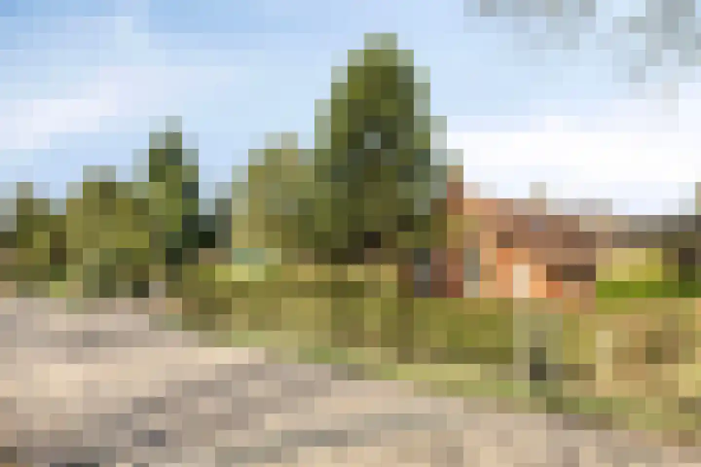 Beneden Veensloot 19 Meeden thumbnail 5