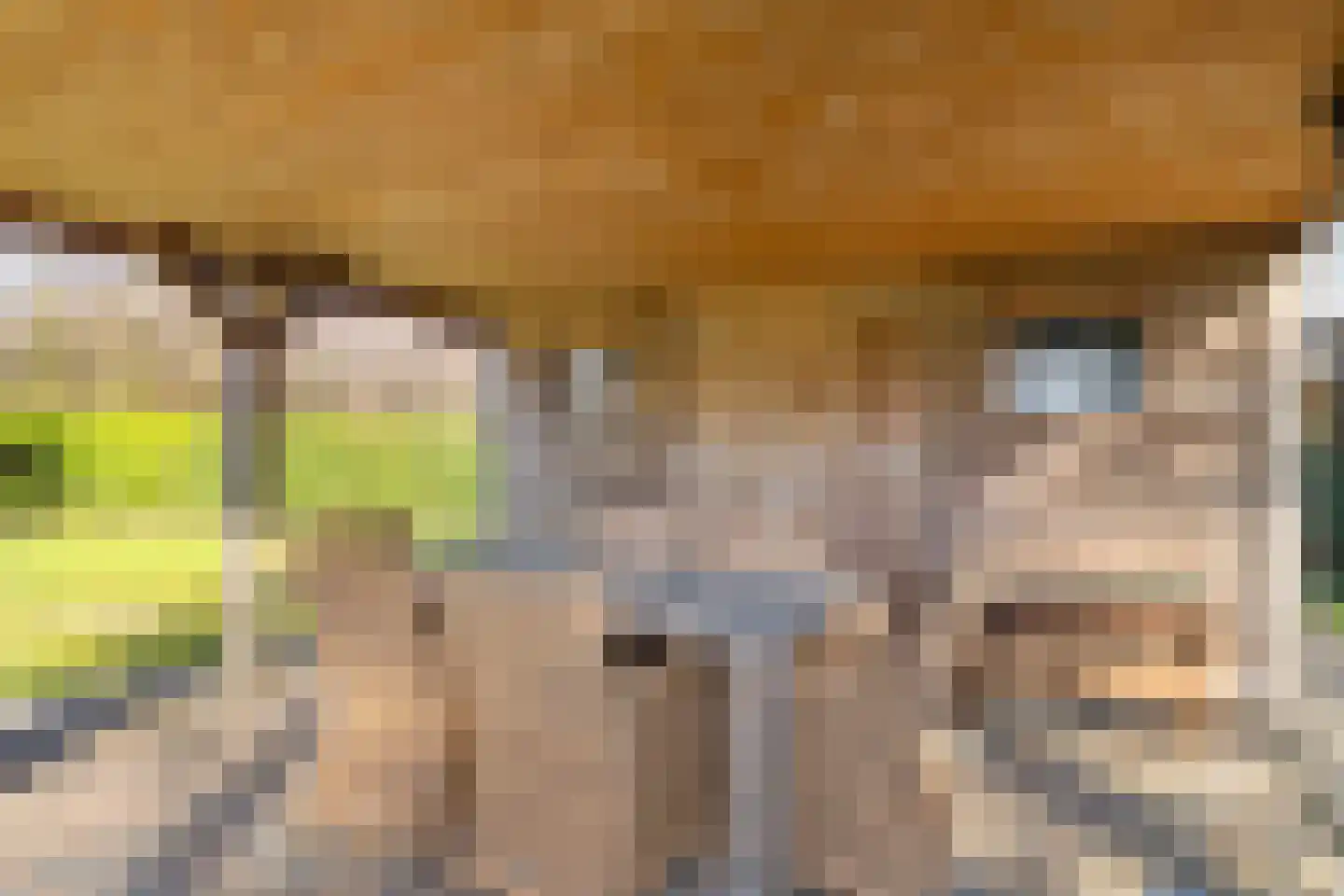 Beneden Veensloot 19 Meeden thumbnail 53
