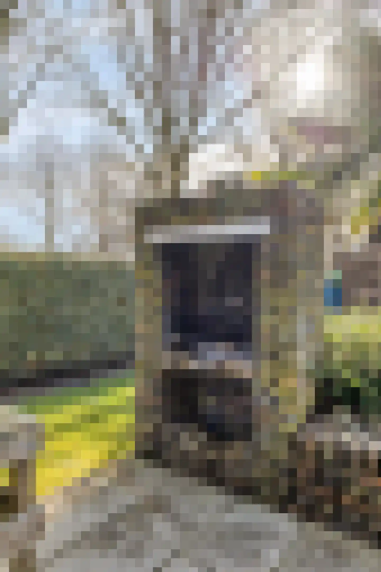 Beneden Veensloot 19 Meeden thumbnail 55