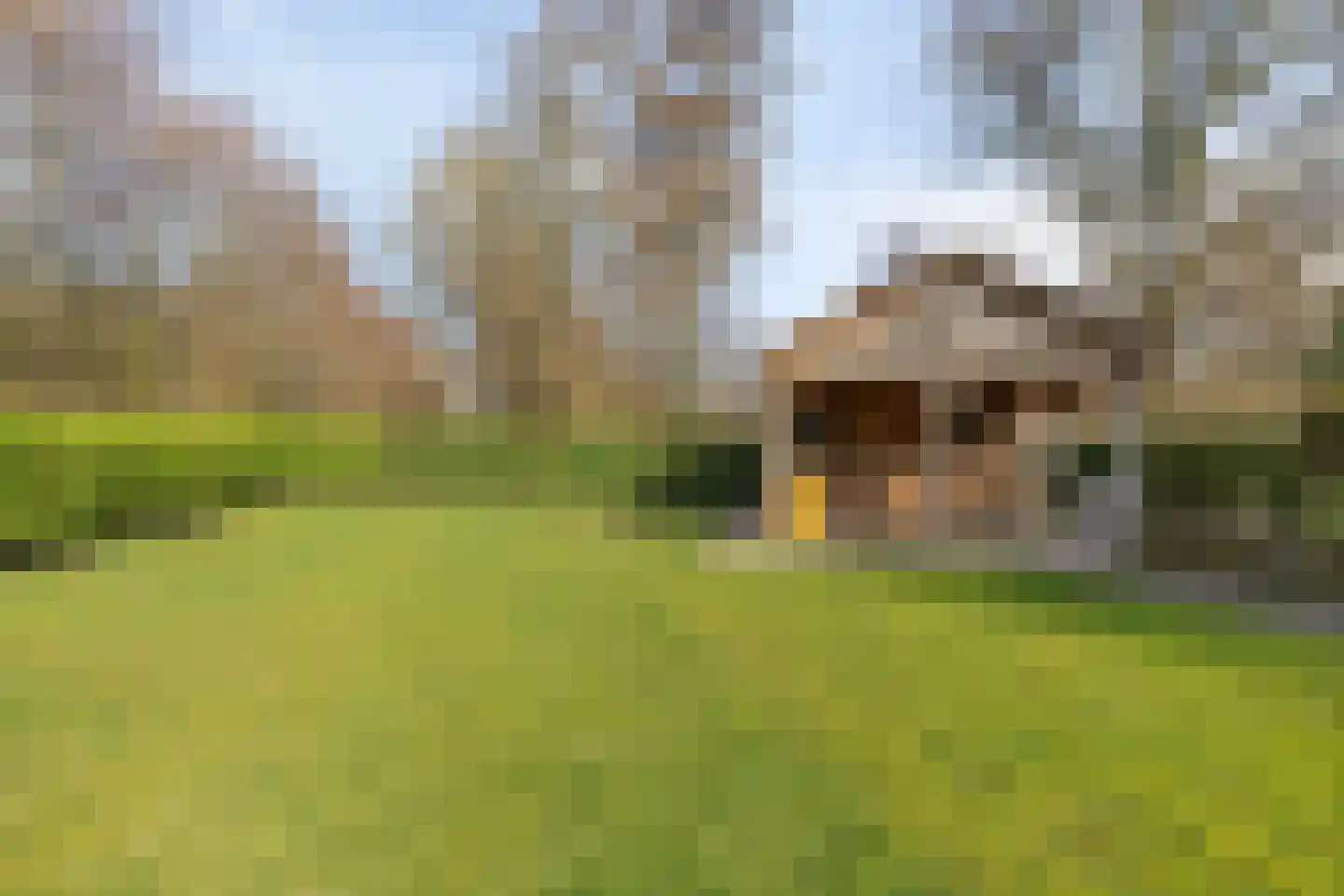 Beneden Veensloot 19 Meeden thumbnail 59
