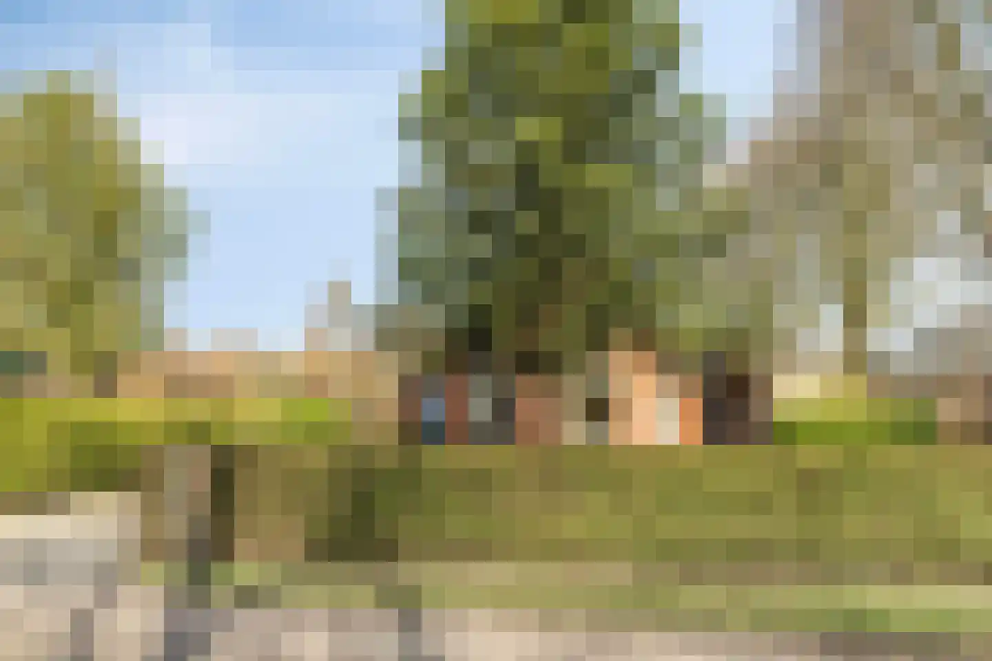 Beneden Veensloot 19 Meeden thumbnail 6