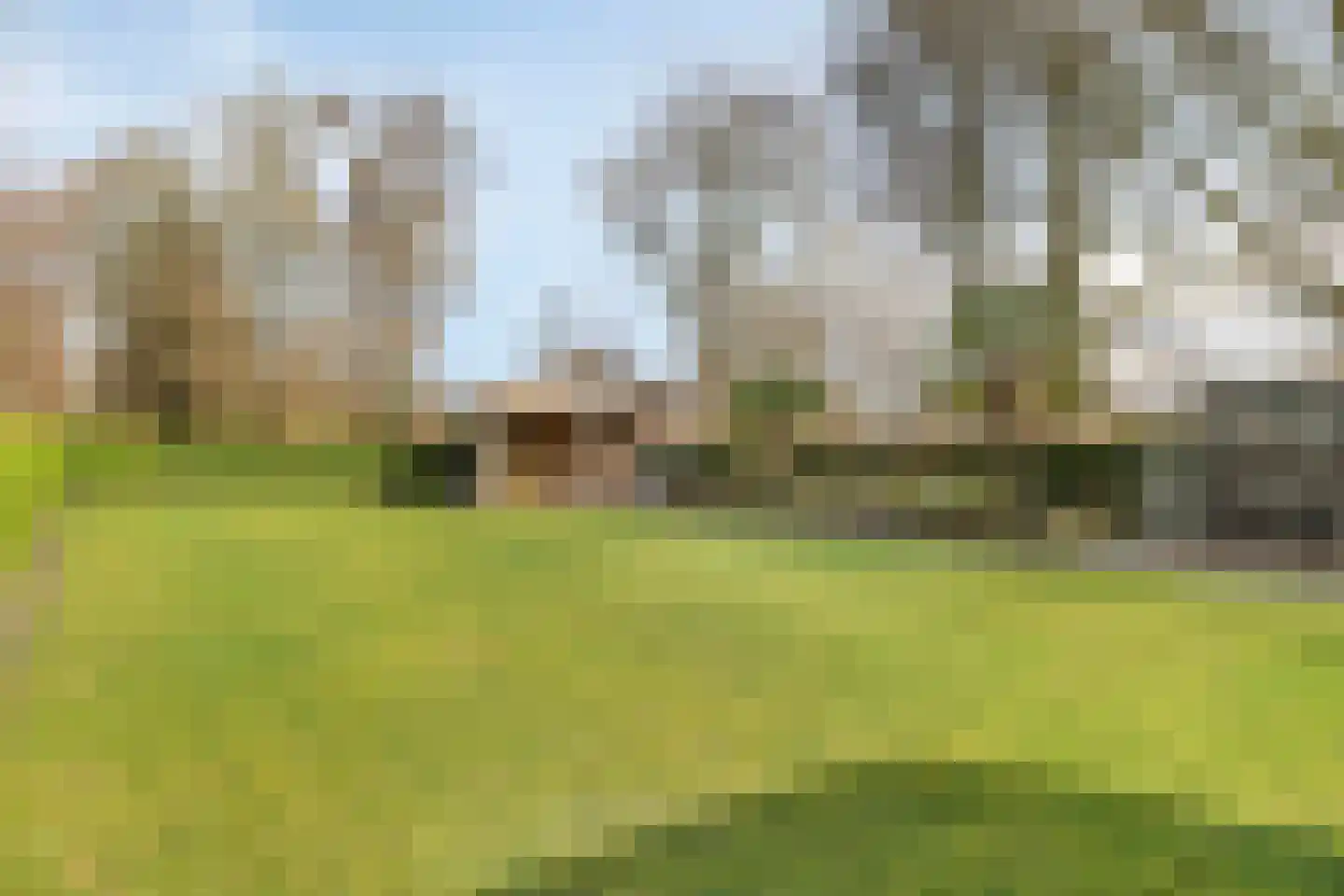 Beneden Veensloot 19 Meeden thumbnail 60