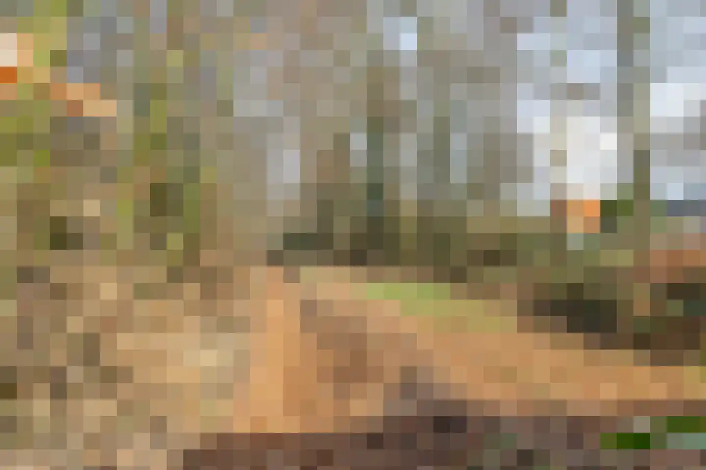 Beneden Veensloot 19 Meeden thumbnail 62