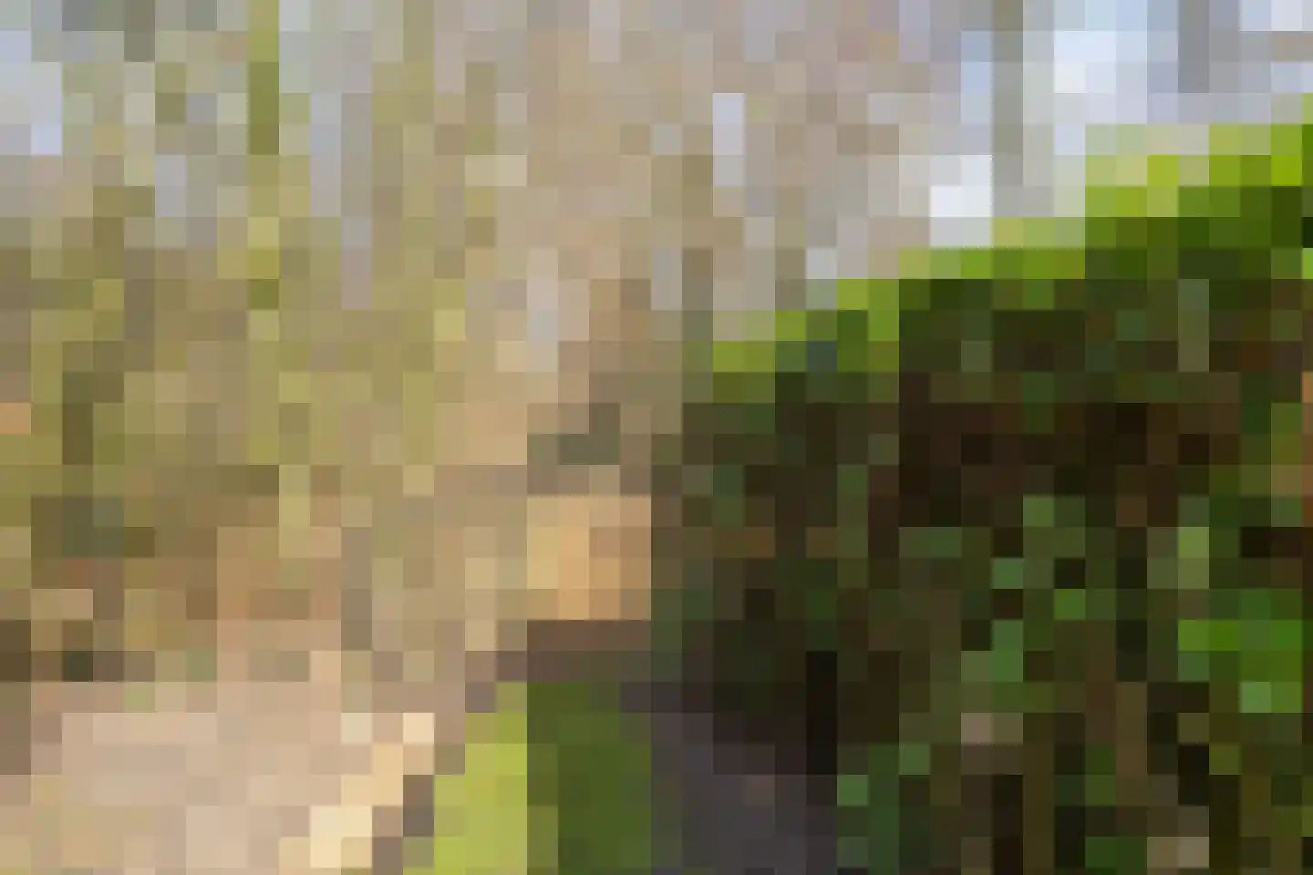 Beneden Veensloot 19 Meeden thumbnail 63