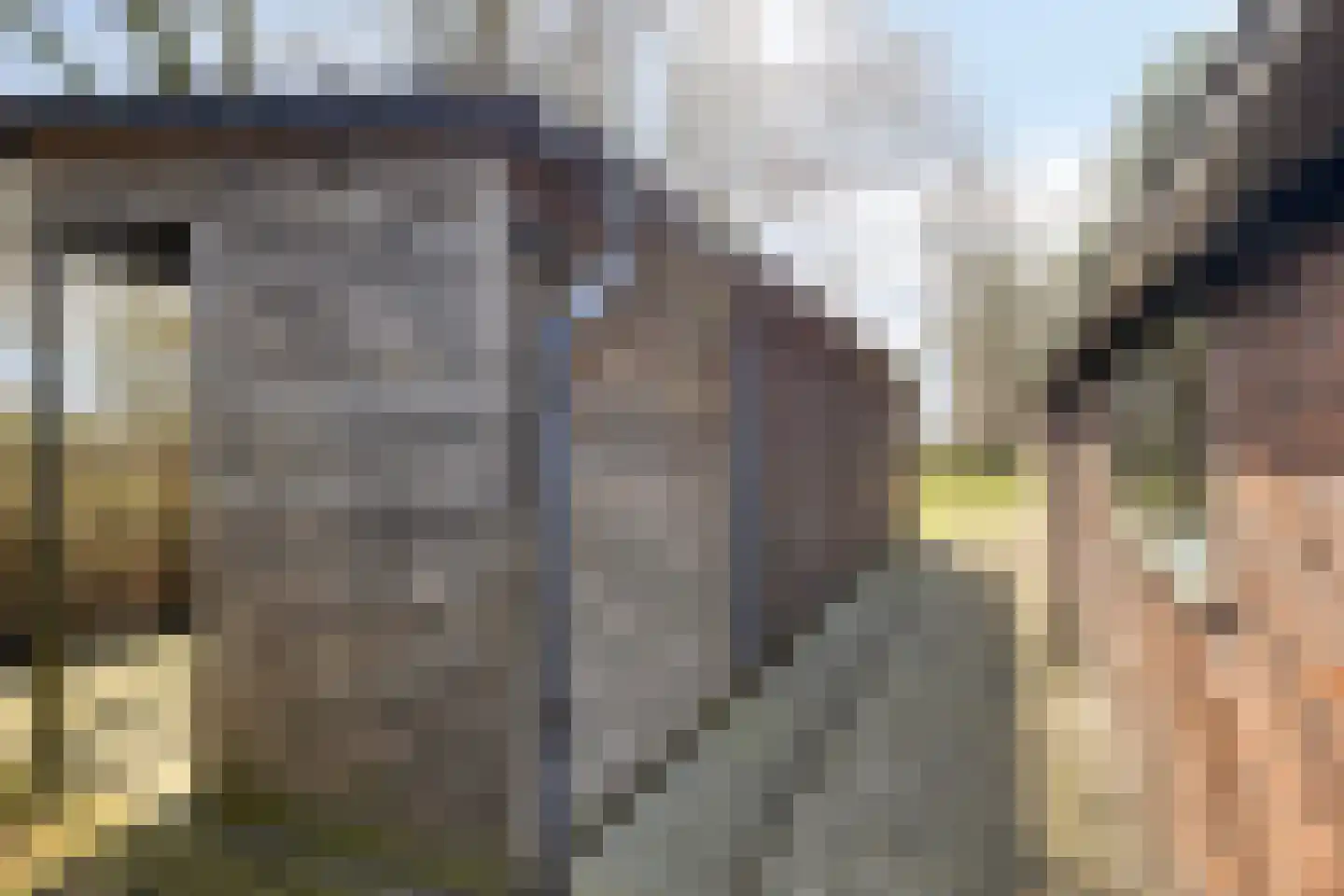 Beneden Veensloot 19 Meeden thumbnail 65