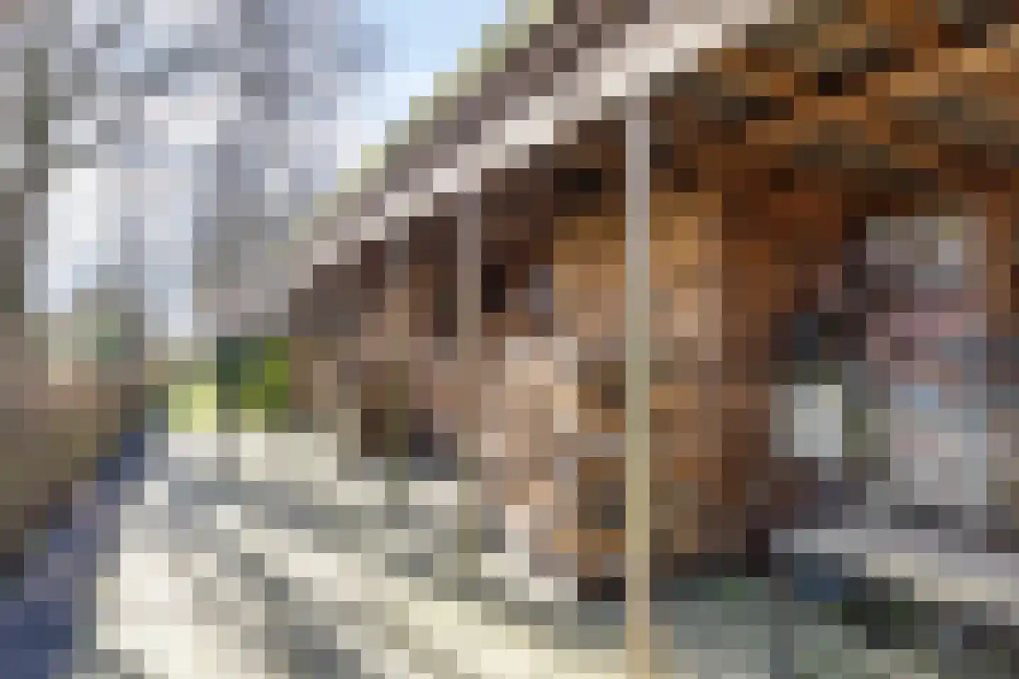 Beneden Veensloot 19 Meeden thumbnail 66