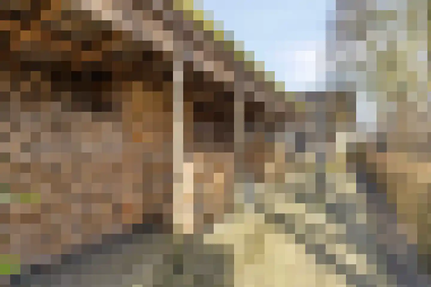 Beneden Veensloot 19 Meeden thumbnail 67
