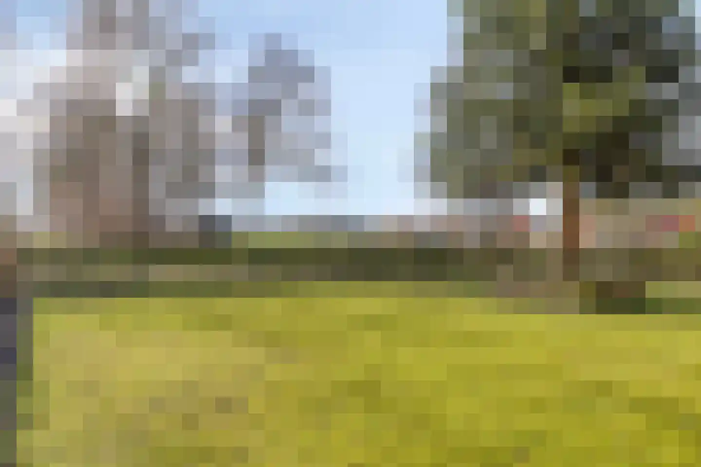 Beneden Veensloot 19 Meeden thumbnail 68