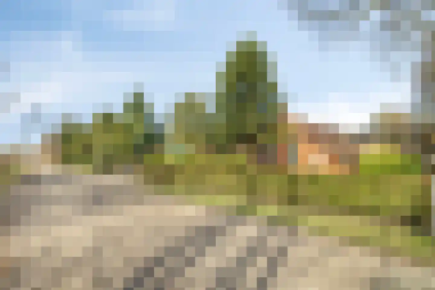 Beneden Veensloot 19 Meeden thumbnail 7