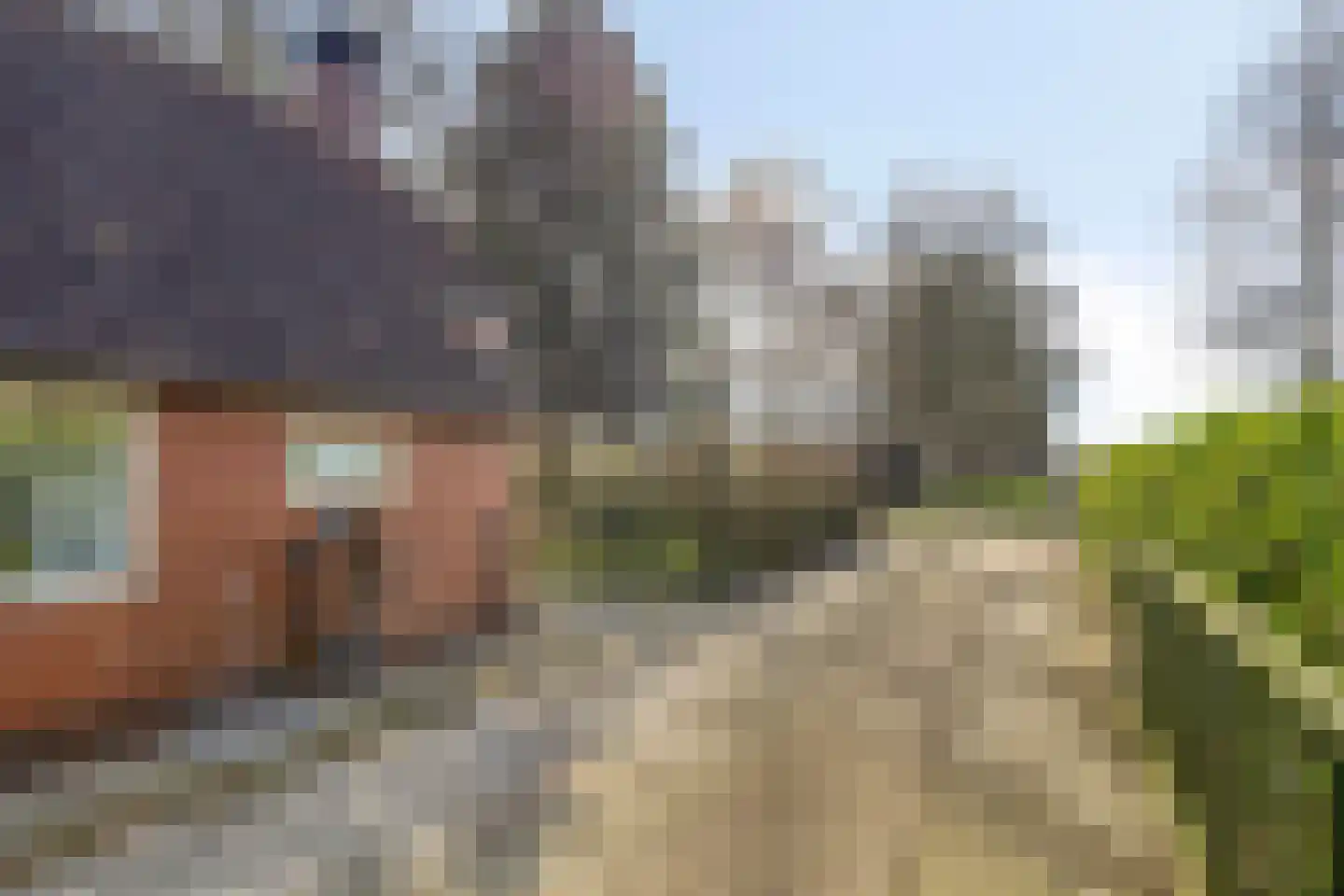 Beneden Veensloot 19 Meeden thumbnail 8