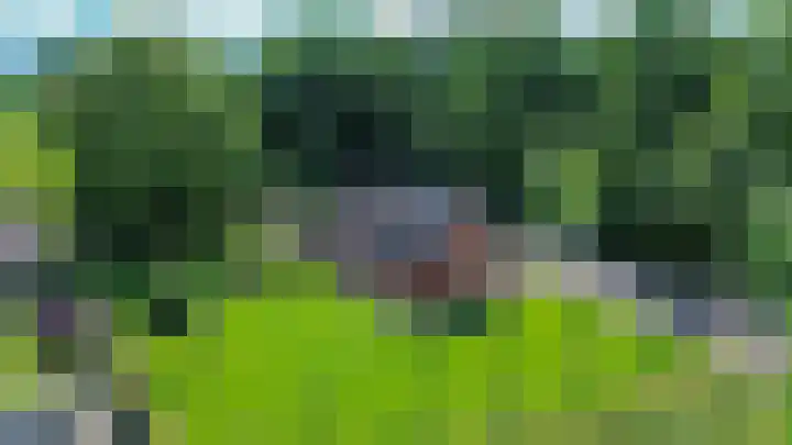 Beneden Veensloot 20 Meeden thumbnail 10