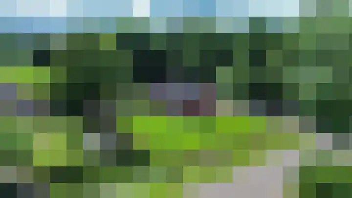 Beneden Veensloot 20 Meeden thumbnail 11