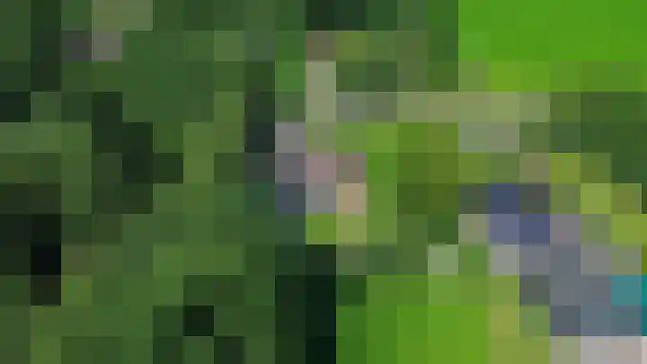 Beneden Veensloot 20 Meeden thumbnail 13