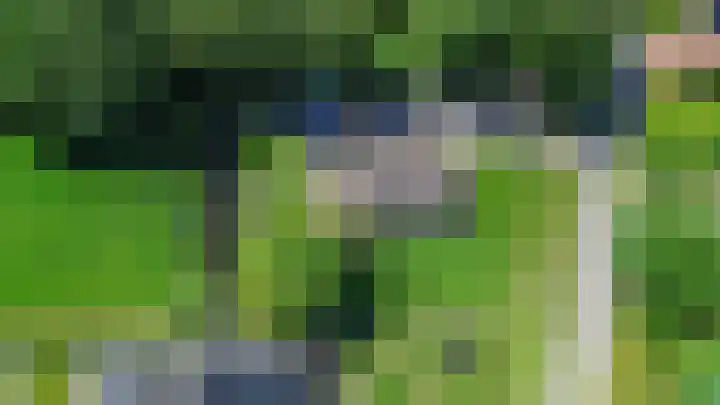 Beneden Veensloot 20 Meeden thumbnail 15