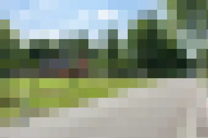 Beneden Veensloot 20 Meeden thumbnail 20