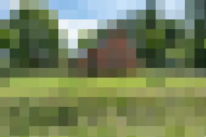 Beneden Veensloot 20 Meeden thumbnail 21