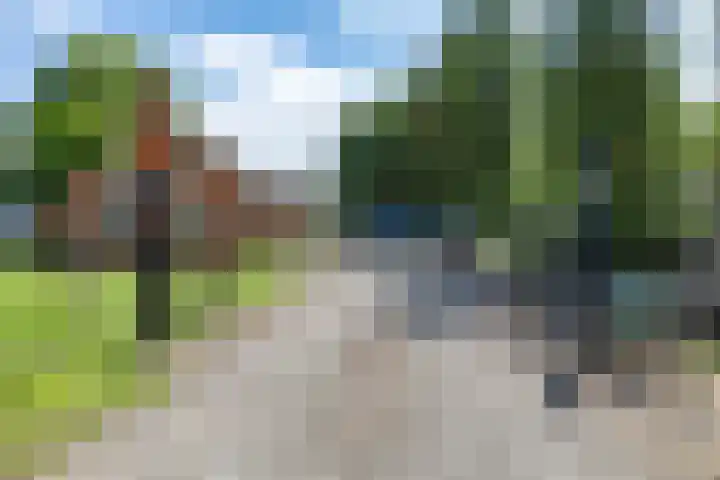 Beneden Veensloot 20 Meeden thumbnail 22