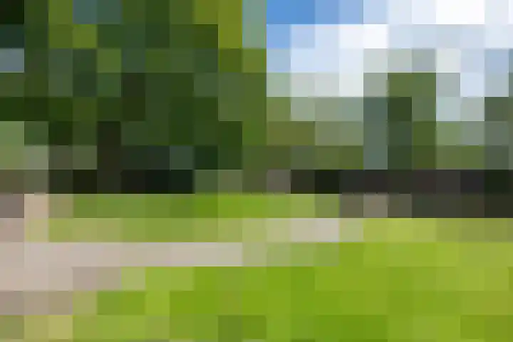 Beneden Veensloot 20 Meeden foto 3