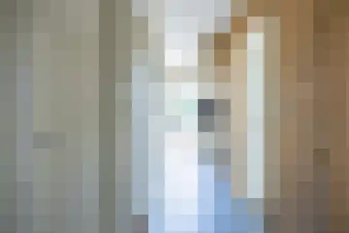 Beneden Veensloot 20 Meeden thumbnail 30
